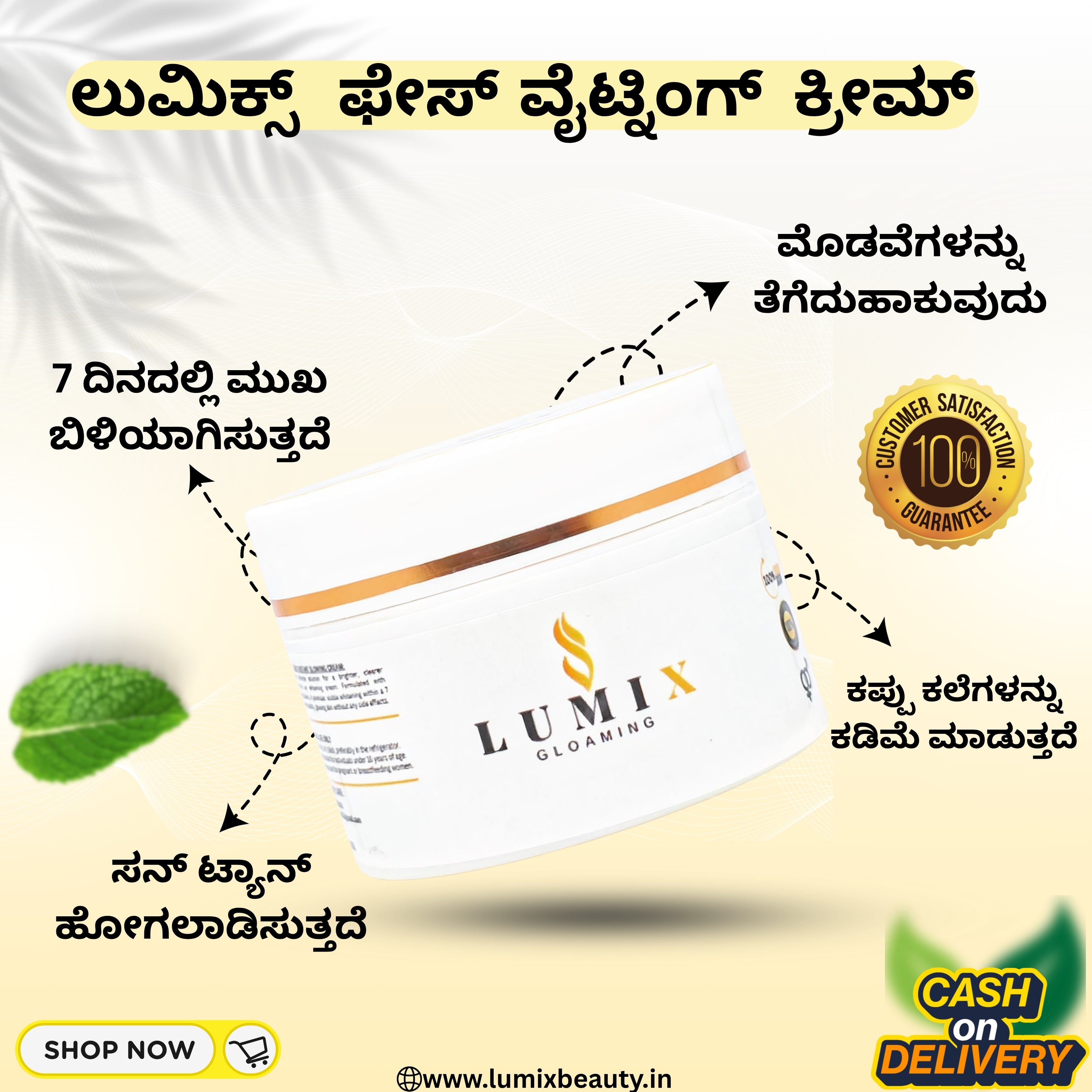 Lumix Beauty Instant Face Whitening Cream 35G